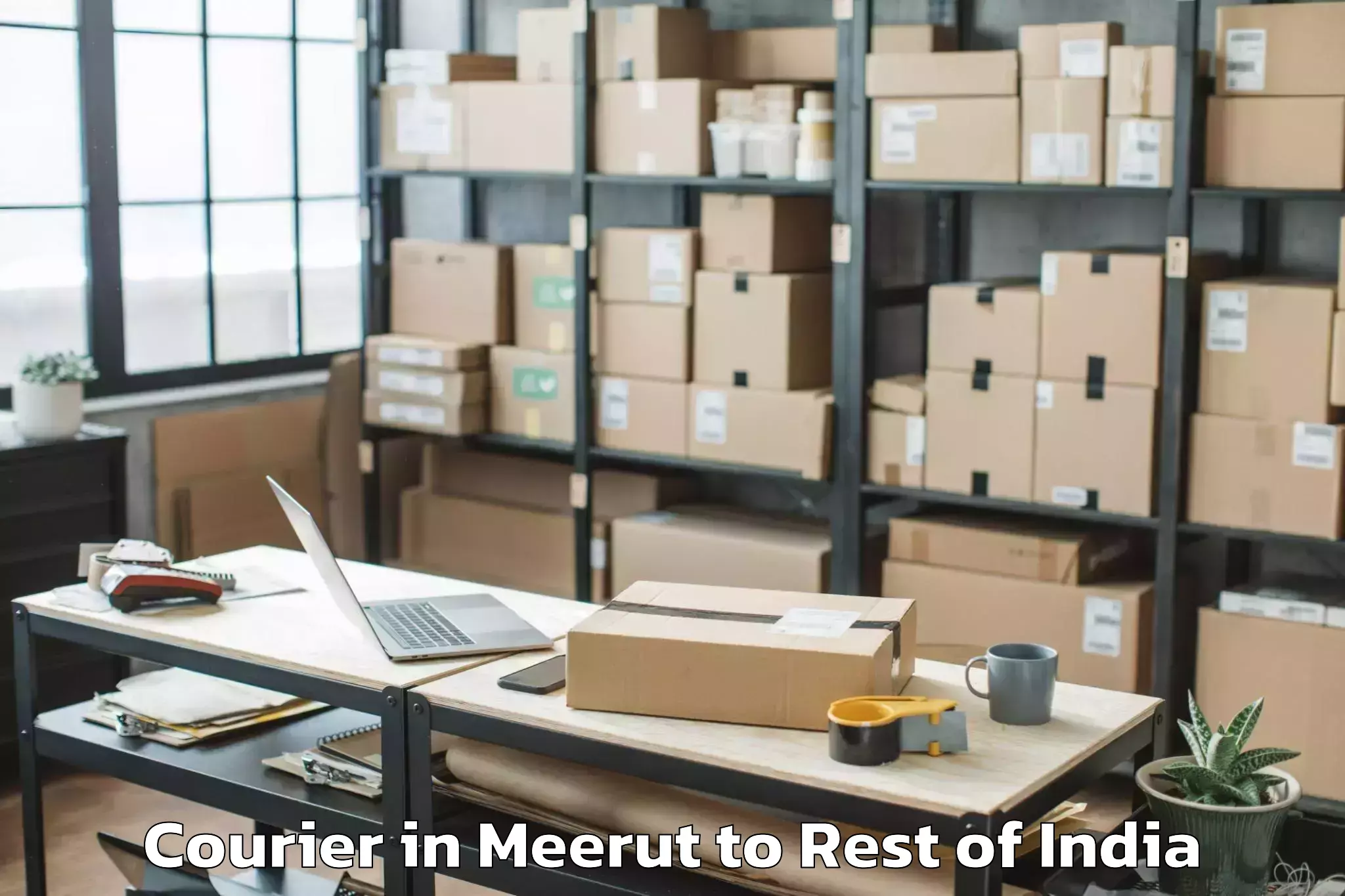 Leading Meerut to Daparizo Airport Dae Courier Provider